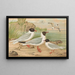 Larus minutus Pall, Larus ridibundus, Larus melanocephalus, Natt, Larus minutus Pall - Johann Friedrich Naumann — quadro incorniciato alla parete