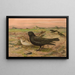Melanocorypha yeltoniensis - Johann Friedrich Naumann — quadro incorniciato alla parete