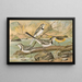 Motacilla alba, Motacilla boarula - Johann Friedrich Naumann — quadro incorniciato alla parete