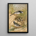 Motacilla lugubris Temm - Johann Friedrich Naumann — quadro incorniciato alla parete