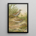 Ortygometra pusilla - Johann Friedrich Naumann — gerahmtes Bild an der Wand