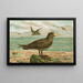 Ossifraga gigantea GMEL Großer Petrel - Johann Friedrich Naumann — gerahmtes Bild an der Wand