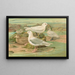 Pagophila eburnea, Phipps, Larus leucopterus, Faber - Johann Friedrich Naumann — gerahmtes Bild an der Wand