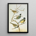 Parus mitratus Parus ater Parus major Parus subpalustris Brm - Johann Friedrich Naumann — gerahmtes Bild an der Wand