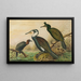 Phalacrocorax carbo, Phalacrocorax graculus, Phalacrocorax pygmaeus - Johann Friedrich Naumann — quadro incorniciato alla parete
