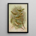 Phylloscopus proregulus superciliosus rufus tristis Blyth - Johann Friedrich Naumann — quadro incorniciato alla parete