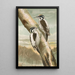 Picoides tridactylus - Johann Friedrich Naumann — gerahmtes Bild an der Wand