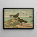 Procellaria pelagica Oceanites oceanicus - Johann Friedrich Naumann — framed artwork on a wall