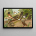 Ruticilla titys Ruticilla phoenicurus - Johann Friedrich Naumann — quadro incorniciato alla parete