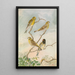Serinus serinus Serinus pusillus - Johann Friedrich Naumann — gerahmtes Bild an der Wand