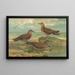 Stercorarius parasiticus Stercorarius pomarinus Großer Labbes Stercorarius longicaudus Vieill - Johann Friedrich Naumann — gerahmtes Bild an der Wand