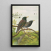 Sturnus vulgaris - Johann Friedrich Naumann — gerahmtes Bild an der Wand