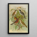 Sylvia melanocephala Sylvia undata Hypolais salicaria - Johann Friedrich Naumann — quadro incorniciato alla parete