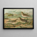 Tringa canutus Tringa subarcuata Tringa maritima Brunn - Johann Friedrich Naumann — quadro incorniciato alla parete