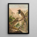 Turdus atrigularis - Johann Friedrich Naumann — quadro incorniciato alla parete