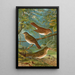 Turdus fuscescens Turdus pallassii Turdus swainsonii - Johann Friedrich Naumann — quadro incorniciato alla parete