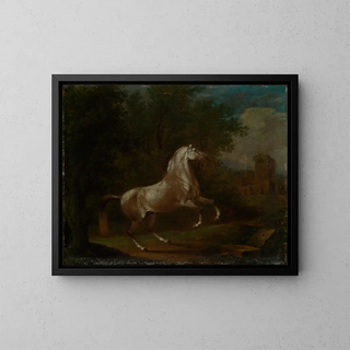 Johann Georg Pforr - Steigender Schimmel.webp