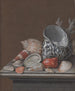 Stillleben mit Muscheln - Johann Jacob Dietzsch — Ansicht des Kunstwerks