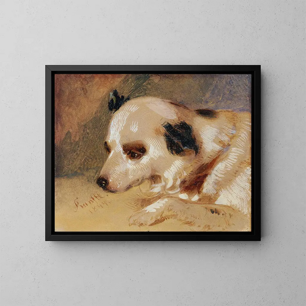 Tête de chien - Johann Matthias Ranftl — quadro incorniciato alla parete