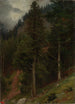 Riproduzione del dipinto Pente dans la forêt de sapins - Johann Wilhelm Schirmer