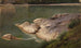 Klippe am Flussufer - Johann Wilhelm Schirmer — Ansicht des Kunstwerks