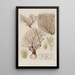 Phytanthoza iconographia Pl150 - Johann Wilhelm Weinmann — gerahmtes Bild an der Wand