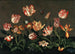 Naturmorte mit Tulpen - Johannes Bosschaert — Ansicht des Kunstwerks