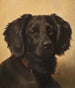 Setter noir - Johannes Christian Deiker — Ansicht des Kunstwerks