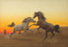 di stalloni arabi al tramonto - John Alexander Harrington Bird — vista dell’opera