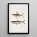 Carpe de Hamilton Cyprinus Bangana Hamiltonii Taille naturelle 2 Carpe Goha Cyprinus Leuciscus Goha - John Edward Gray — quadro incorniciato alla parete