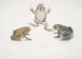 Crapaud à nez caréné Bufo carinatus 2 2a Crapaud douteux Bufo dubius Bengale - John Edward Gray — vista dell’opera