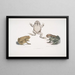 Crapaud à nez caréné Bufo carinatus 2 2a Crapaud douteux Bufo dubius Bengale - John Edward Gray — quadro incorniciato alla parete