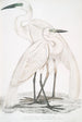 Héron blanc pur Ardea modesta 2 Héron à bec noir Ardea nigrirostris - John Edward Gray — vista dell’opera