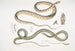 Serpente a ventre maculato Coluber ventromaculatis 2 Serpente di albero di Bell Ahtula Bellii - John Edward Gray — vista dell’opera