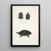 Tortue tachetée Emys Guttata Emys Hamiltonii 2 Tortue à cou épais Emys crassicollis - John Edward Gray — quadro incorniciato alla parete