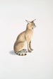 Chat allié Felis affinis - John Edward Gray — vista dell’opera