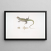 Uromastix di Bell (Uromastix Bellii) di Penang - John Edward Gray — quadro incorniciato alla parete