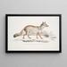 Renard Bengal Canis Vulpes Bengalensis Canis Kokree - John Edward Gray — quadro incorniciato alla parete
