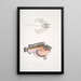 Poisson-cochon déformé Synanaceia grossa Singapore - John Edward Gray — quadro incorniciato alla parete