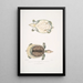 Trionyx plat Tryonix subplanus - John Edward Gray — quadro incorniciato alla parete