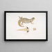 Uromastix di Hardwicke, Uromastix hardwickii dell'Hindoustan - John Edward Gray — quadro incorniciato alla parete