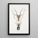 Antilope indiana Antilopa cervicapra testa e corno 1 giovane 2 adulto - John Edward Gray — quadro incorniciato alla parete
