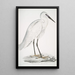 Héron blanc indien Ardea orientalis - John Edward Gray — quadro incorniciato alla parete