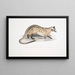 Paradoxure prehensile Paradoxurus prehensilis - John Edward Gray — quadro incorniciato alla parete