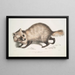 Cane con faccia di procione Canis procyonoides Cina - John Edward Gray — quadro incorniciato alla parete