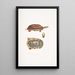 Tortue-boîte à trois bandes Cistuda trifasciata - John Edward Gray — quadro incorniciato alla parete