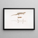 Tiliqua a tre bande Tiliqua trivittata - John Edward Gray — quadro incorniciato alla parete