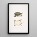Jeune Trionyx valvulaire Trionyx punctata junior - John Edward Gray — quadro incorniciato alla parete