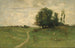 Il sentiero verso il villaggio - John Francis Murphy — vista dell’opera