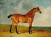 Un Cavallo Bai in un Paesaggio Vasto - John Frederick Herring Jr. — vista dell’opera
